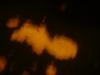 <img100*0:stuff/z/169023/Bleach%252027/i1259800017_8.jpg>