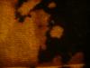 <img100*0:stuff/z/169023/Bleach%252027/i1259800018_10.jpg>