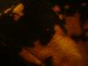 <img100*0:stuff/z/169023/Bleach%252027/i1259800018_11.jpg>