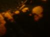 <img100*0:stuff/z/169023/Bleach%252027/i1259800018_15.jpg>