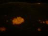 <img100*0:stuff/z/169023/Bleach%252027/i1259800018_18.jpg>