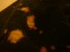 <img100*0:stuff/z/169023/Bleach%252027/i1259800018_19.jpg>
