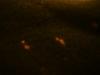 <img100*0:stuff/z/169023/Bleach%252027/i1259800018_25.jpg>