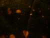 <img100*0:stuff/z/169023/Bleach%252027/i1259800018_26.jpg>
