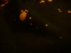 <img100*0:stuff/z/169023/Bleach%252027/i1259800018_27.jpg>
