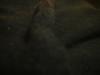 <img100*0:stuff/z/169023/Blue%252010/i1259800621_8.jpg>