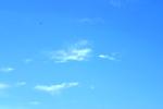 <img150*0:stuff/z/169023/Blue%2520Cloudy%2520Skies/i1278943094_11.jpg>