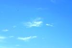 <img150*0:stuff/z/169023/Blue%2520Cloudy%2520Skies/i1278943094_7.jpg>