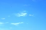 <img150*0:stuff/z/169023/Blue%2520Cloudy%2520Skies/i1278943094_9.jpg>