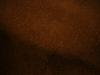 <img100*0:stuff/z/169023/Brown%25208/i1259800648_2.jpg>