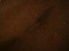 <img100*0:stuff/z/169023/Brown%25208/i1259800648_4.jpg>