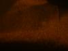 <img100*0:stuff/z/169023/Brown%25208/i1259800649_7.jpg>