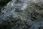 <img150*0:stuff/z/169023/Bubbles%2520in%2520the%2520Water/i1278943447_4.jpg>
