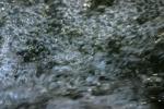 <img150*0:stuff/z/169023/Bubbles%2520in%2520the%2520Water/i1278943447_7.jpg>