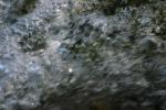 <img150*0:stuff/z/169023/Bubbles%2520in%2520the%2520Water/i1278943447_9.jpg>