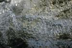 <img150*0:stuff/z/169023/Bubbles%2520in%2520the%2520Water/i1278943448_12.jpg>