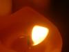 <img100*0:stuff/z/169023/Candle%2520Flames/i1259865659_12.jpg>