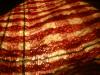 <img100*0:stuff/z/169023/Checkered%2520Cloth%252024/i1263581876_5.jpg>