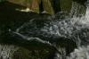 <img100*0:stuff/z/169023/Chittenango%2520Falls%25202010/i1278943989_13.jpg>