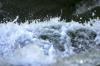 <img100*0:stuff/z/169023/Chittenango%2520Falls%25202010/i1278943991_29.jpg>