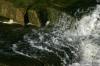 <img100*0:stuff/z/169023/Chittenango%2520Falls%25202010/i1278943991_36.jpg>