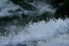 <img100*0:stuff/z/169023/Chittenango%2520Falls%25202010/i1278943991_39.jpg>