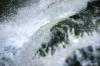 <img100*0:stuff/z/169023/Chittenango%2520Falls%25202010/i1278943992_40.jpg>