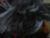 <img100*0:stuff/z/169023/Cloth%2520108/i1263428986_9.jpg>