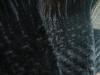 <img100*0:stuff/z/169023/Cloth%2520108/i1263428987_27.jpg>