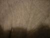 <img100*0:stuff/z/169023/Cloth%2520108/i1263428988_37.jpg>