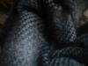<img100*0:stuff/z/169023/Cloth%2520108/i1263428988_38.jpg>