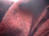 <img100*0:stuff/z/169023/Cloth%2520Ref.%25202/i1263428613_12.jpg>