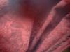 <img100*0:stuff/z/169023/Cloth%2520Ref.%25202/i1263428613_9.jpg>
