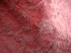 <img100*0:stuff/z/169023/Cloth%2520Ref./i1263428627_14.jpg>