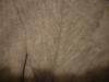 <img100*0:stuff/z/169023/Cloth%2520ref.%25203/i1263429152_1.jpg>
