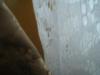 <img100*0:stuff/z/169023/Cloth%2520ref.%25203/i1263429152_13.jpg>