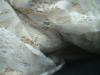 <img100*0:stuff/z/169023/Cloth%2520ref.%25203/i1263429152_31.jpg>