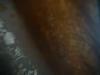 <img100*0:stuff/z/169023/Cloth%2520ref.%25204/i1263429187_7.jpg>