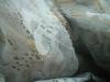 <img100*0:stuff/z/169023/Cloth%2520ref.%25204/i1263429188_14.jpg>