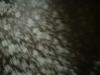 <img100*0:stuff/z/169023/Cloth%2520ref.%25204/i1263429188_15.jpg>