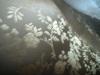 <img100*0:stuff/z/169023/Cloth%2520ref.%25204/i1263429188_18.jpg>