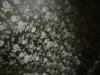 <img100*0:stuff/z/169023/Cloth%2520ref.%25204/i1263429188_19.jpg>
