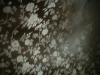 <img100*0:stuff/z/169023/Cloth%2520ref.%25204/i1263429188_22.jpg>