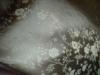 <img100*0:stuff/z/169023/Cloth%2520ref.%25204/i1263429188_24.jpg>