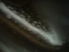 <img100*0:stuff/z/169023/Cloth%2520ref.%25204/i1263429189_25.jpg>