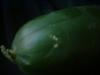 <img100*0:stuff/z/169023/Cucumber%252036/i1259705927_10.jpg>