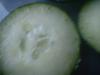 <img100*0:stuff/z/169023/Cucumber%252036/i1259705927_11.jpg>