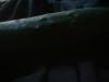 <img100*0:stuff/z/169023/Cucumber%252036/i1259705927_13.jpg>