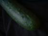 <img100*0:stuff/z/169023/Cucumber%252036/i1259705927_15.jpg>