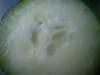 <img100*0:stuff/z/169023/Cucumber%252036/i1259705927_16.jpg>
